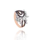 Classic Diamond Ring with Fancy Black Diamond
