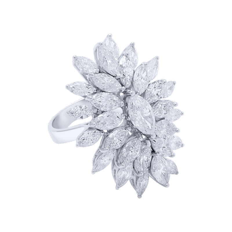 3257138596.png