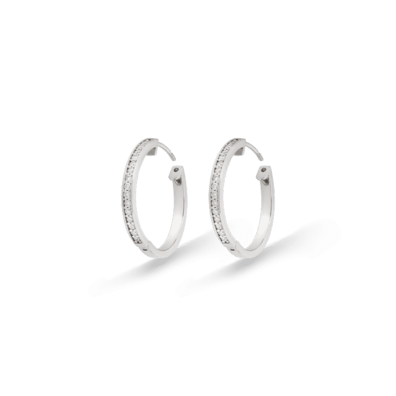 3909055893.png