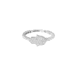 4095881282.png