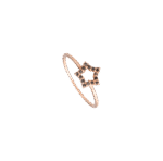 Daily Dazzle Ring with Fancy Black Diamond