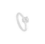3257276604.png