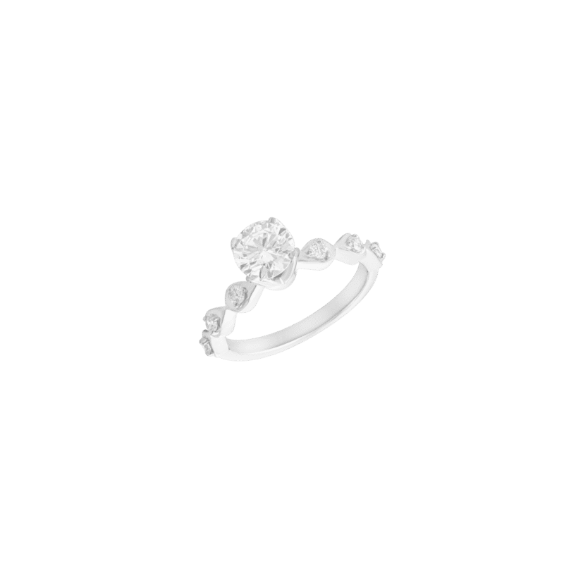 4435538528.png