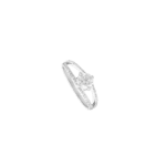 4435694500.png