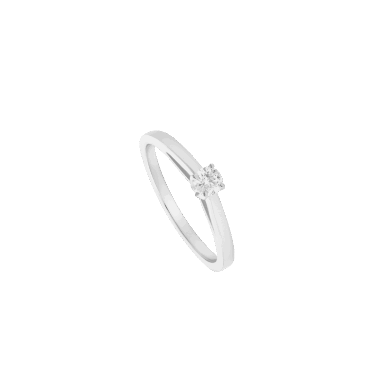 4437104033.png
