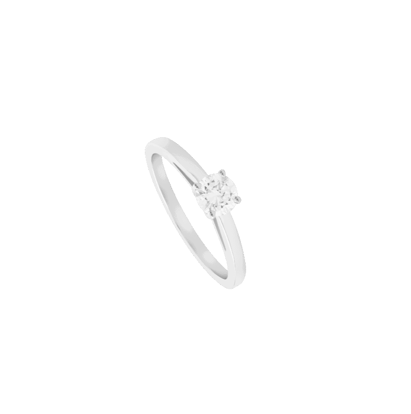 4437107344.png