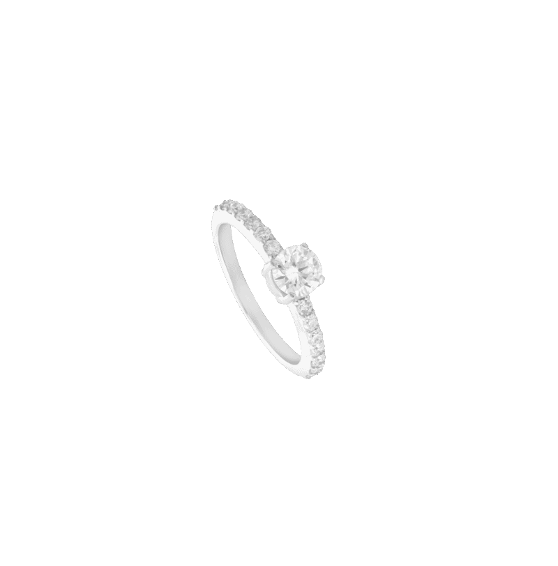 4437265864.png
