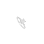 4462563129.png