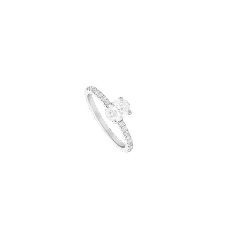 4464211585.png