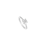 4478203342.png
