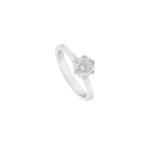 4478204695.png
