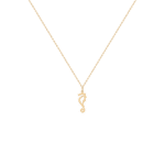 Daily Dazzle Summer Sea Horse Gold Necklace