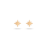 Daily Dazzle Star Summer Gold Earrings