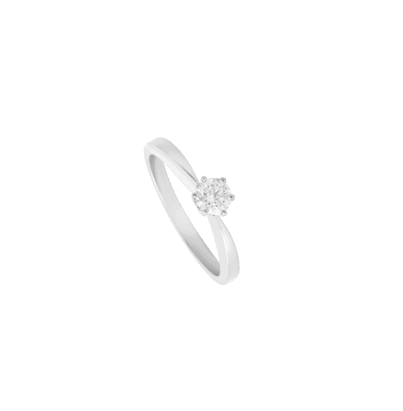 4554763528.png