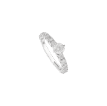 4554769484.png