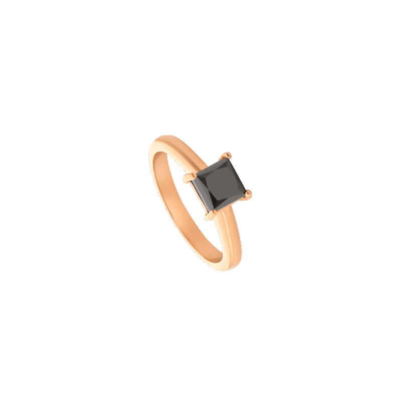 4556295669.png