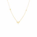 FGPVRW6559AG2010P000Y