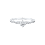FDSOTW6011AW1F12QDRSW